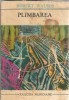 Plimbarea - Robert Walser