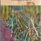 Plimbarea - Robert Walser