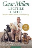 Cumpara ieftin Lectiile haitei. Povestile cainilor care mi-au schimbat viata/Cesar Millan