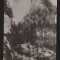 CPI B13682 CARTE POSTALA - INTRAREA IN CHEILE BICAZULUI, RPR