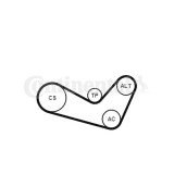 Continental Ctam Set curea transmisie cu caneluri