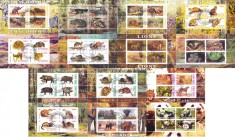 COLITE 14 buc. diferite - ANIMALE