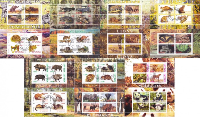 COLITE 14 buc. diferite - ANIMALE