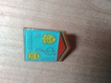Insigne Pionieri Pionier Intrpret 2