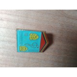 Insigne Pionieri Pionier Intrpret 2