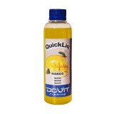 AROMA MANGO 250ML, Dovit