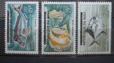 CV1 SERIE MALI PESTI