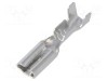 Papuc 2.8mm mama fir 0.5-1mmp