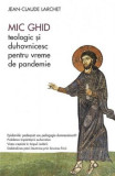 Mic ghid teologic și duhovnicesc pentru vreme de pandemie - Paperback brosat - Jean-Claude Larchet - Sophia