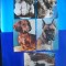 HOPCT LOT NR 1116 CAINI -5 CARTI POSTALE-NECIRCULATE