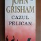 John Grisham - Cazul Pelican