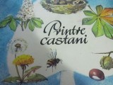 Carte Printre Castani 1975 Ilustratii Ilse Hebler Editie Cartonata A2 Copii 3+ ani