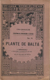 I. SIMIONESCU - PLANTE DE BALTA ( 1924 )