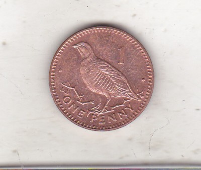 bnk mnd Gibraltar 1 penny 2003 , pasare foto