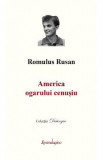 America ogarului cenusiu - Romulus Rusan, 2022