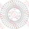 Disc frana RENAULT GRAND SCENIC III (JZ0/1) (2009 - 2016) TRW DF6208S