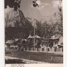F2 - Carte Postala - Poiana Tapului, muntii Bucegi, circulata 1960