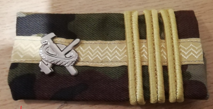 C3 - Grade militare - mozaic padure - colonel auto - piesa de colectie!