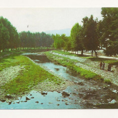 RF11 -Carte Postala- Peisaj la Beius, necirculata
