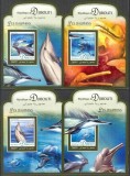 DJIBOUTI 2016 FAUNA MARINA DELFINI