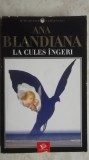 Ana Blandiana - La cules ingeri (vezi detalii pentru livrare in tara)
