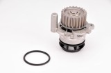 Pompa apa VW GOLF V (1K1) (2003 - 2009) THERMOTEC D1W050TT