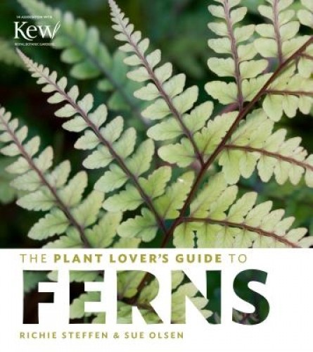 The Plant Lover&#039;s Guide to Ferns