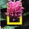 AS - NATIONAL GEOGRAPHIC TRAVELER - HAWAII