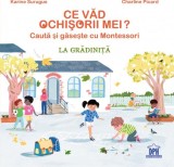 Cumpara ieftin Ce Vad Ochisorii Mei? Cauta Si Gaseste Cu Montessori La Gradinita, Karine Surugue - Editura DPH