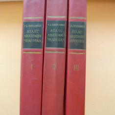 SINELNIKOV - ATLAS DE ANATOMIE UMANA (in limba RUSA) - 3 volume - 1972-1974