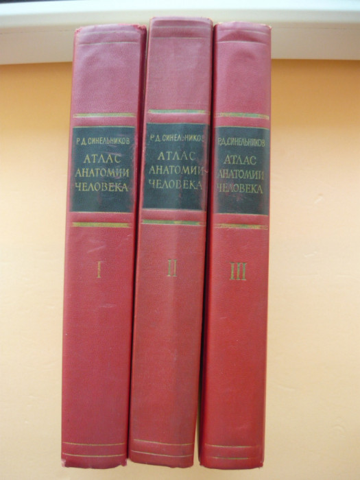 SINELNIKOV - ATLAS DE ANATOMIE UMANA (in limba RUSA) - 3 volume - 1972-1974
