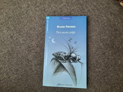 Bruno Ferrero - Noi avem aripi foto