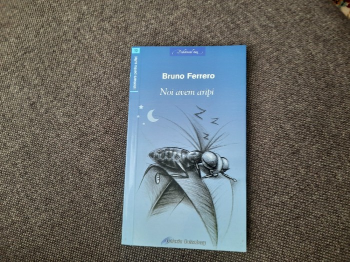 Bruno Ferrero - Noi avem aripi