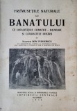 Ion Pasarica - Frumusetile naturale ale Banatului cu localitatile climatice-balneare si cataractele Dunarii (aproximativ 80 imagini din Banat) 1936