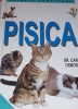 PISICA DR Carol Osborne