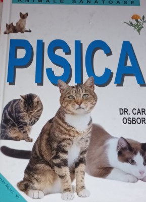 PISICA DR Carol Osborne foto