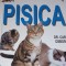 PISICA DR Carol Osborne