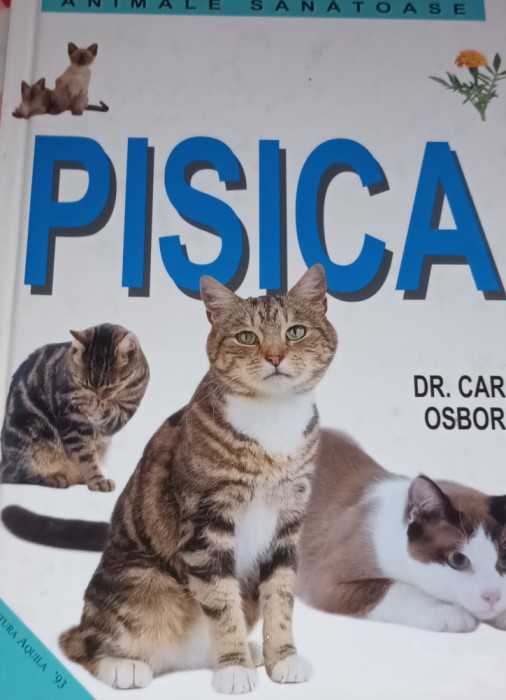 PISICA DR Carol Osborne
