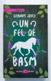 Graham Joyce - Un fel de basm