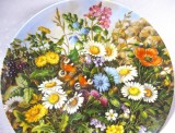 FARFURIE DECORATIVA PORTELAN BRADEX EDITIE LIMITATA COLECTIA FLORI SALBATICE DECOR FLORI SI FLUTURI