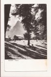 RF71 -Carte Postala- Busteni, circulata 1960