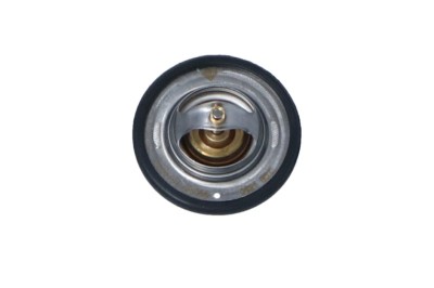 NRF 725066 EASY FIT termostat,lichid racire foto