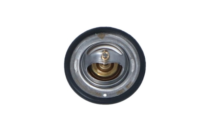 NRF 725066 EASY FIT termostat,lichid racire