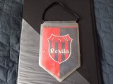 Fanion CSM Resita