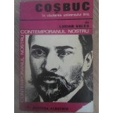 COSBUC IN CAUTAREA UNIVERSULUI LIRIC-LUCIAN VALEA-103674