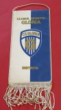 Fanion fotbal - GLORIA BISTRITA