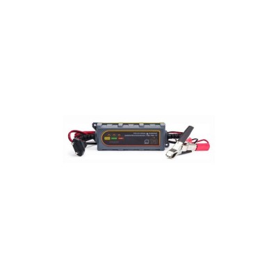 Redresor auto cu microprocesor, 6V 12V 1T, Powermat foto