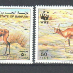 BAHRAIN 1993 WWF FAUNA PROTEJATA GAZELE