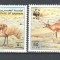 BAHRAIN 1993 WWF FAUNA PROTEJATA GAZELE