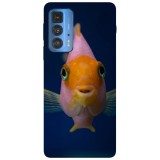 Husa compatibila cu Motorola Moto G22 model Hi Mi Fish, Silicon, TPU, Viceversa, Transparent, Carcasa